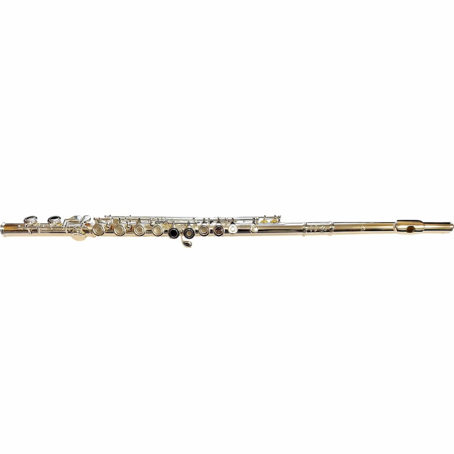 Flutes * | Buy Di Zhao Dz 201 Student Flute Offset G C-Foot