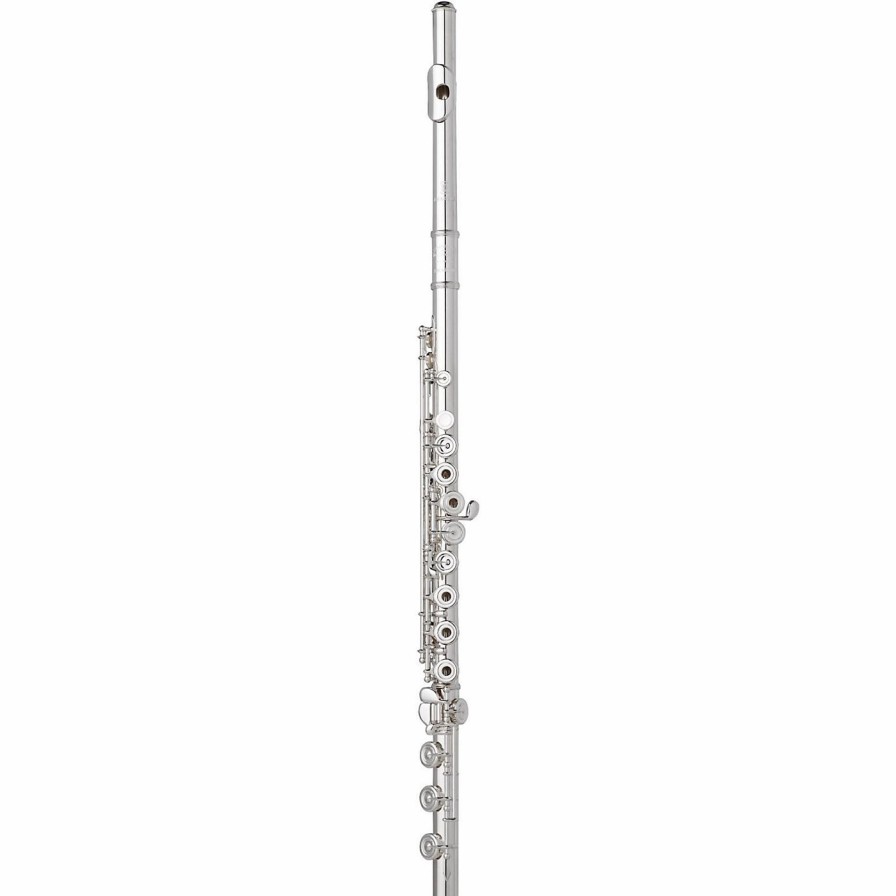 Flutes * | Best Deal Wm. S Haynes Amadeus Af580-Bo Flute Sterling Silver Riser And Lip Plate