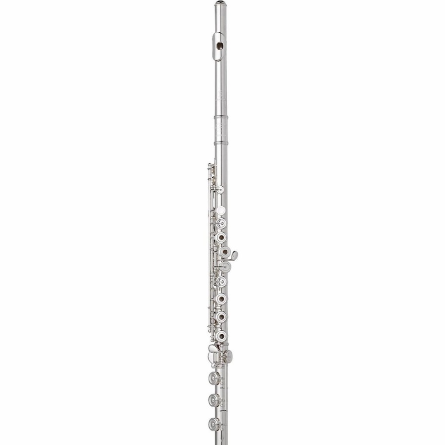 Flutes * | Wholesale Wm. S Haynes Amadeus Af680 Professional Flute Sterling Silver Headjoint Split E