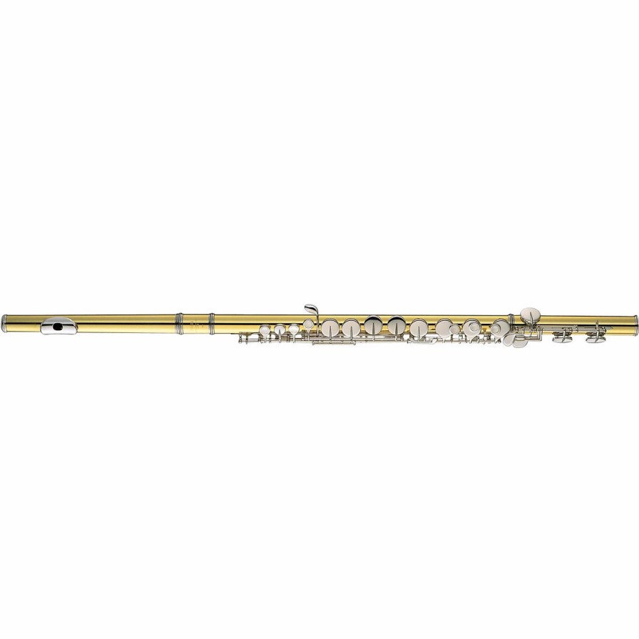 Flutes & Piccolos * | Flash Sale Yamaha Yamaha Yfl-A421 Professional Alto Flute Yfl-A421Bii With Straight And Curved Headjoints