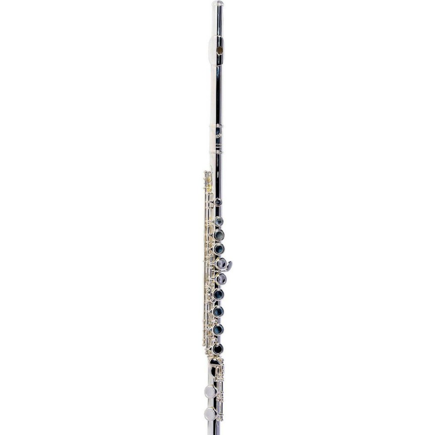 Flutes * | Best Deal Giardinelli Giardinelli Gfl-300 Silver-Plated Flute