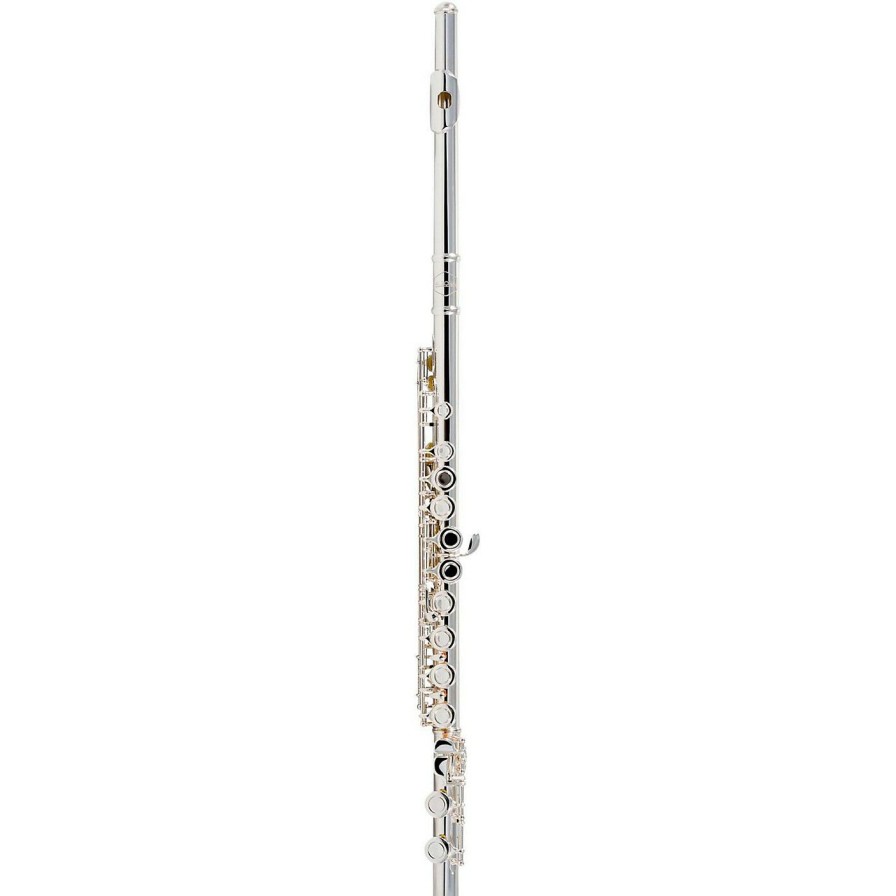 Flutes * | Cheapest Allora Allora Afl-250 Student Series Flute Offset G C-Foot