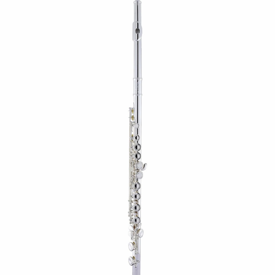 Flutes * | Deals Armstrong Armstrong Afl201 Closed-Hole Student Flute Offset G C-Foot